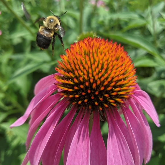 ♥️ - Picture 8 of 14